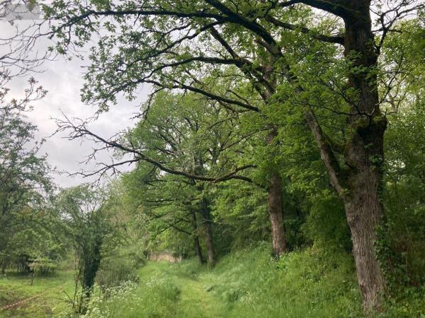 Terrain à Batir à vendre à Cahors dans le Lot (46000), ref : 009/1685   
Bégoux