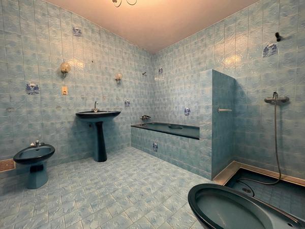 Maison / Immeuble centre ville Seissan