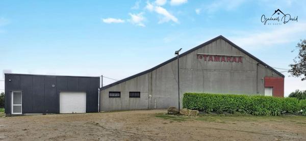 Grand local commercial polyvalent de 546 m²