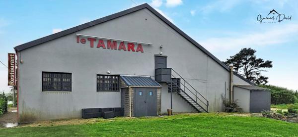 Grand local commercial polyvalent de 546 m²