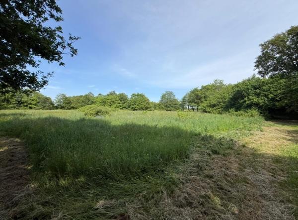 Maison à VAL D'OUST, 56460 - 7 pièces 165m²