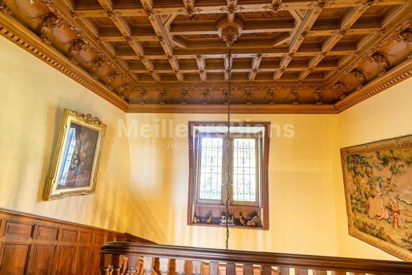 Château de Rêve au Cœur de la Gascogne : Un Trésor Historique avec Vue sur les Pyrénées
