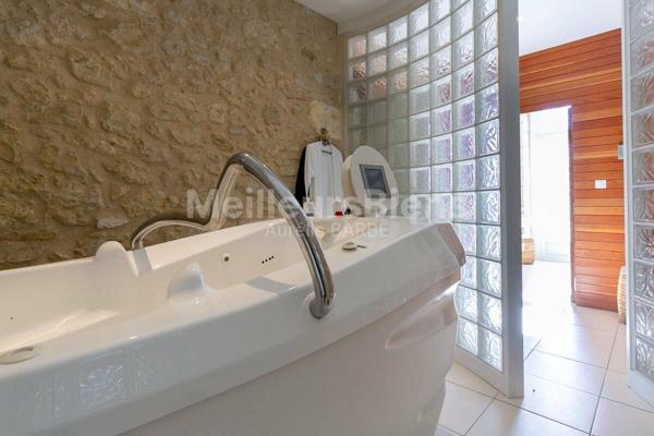 Château de Rêve au Cœur de la Gascogne : Un Trésor Historique avec Vue sur les Pyrénées