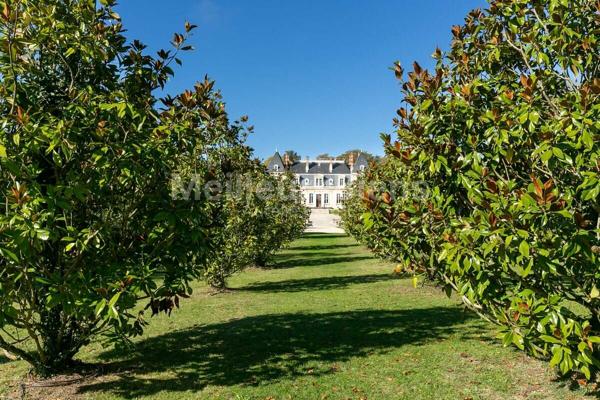 Château de Rêve au Cœur de la Gascogne : Un Trésor Historique avec Vue sur les Pyrénées