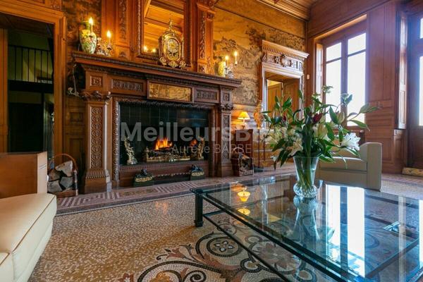 Château de Rêve au Cœur de la Gascogne : Un Trésor Historique avec Vue sur les Pyrénées