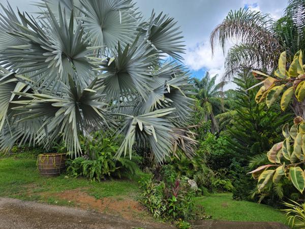 Villa 5 chambres + 2 F2 indépendants sur plus de 2400 m² de terrain