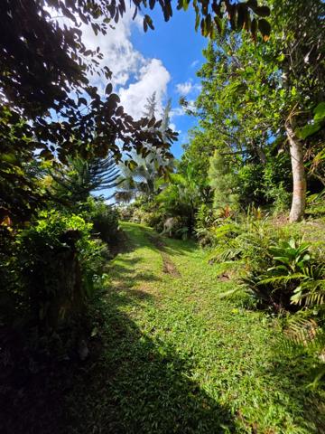 Villa 5 chambres + 2 F2 indépendants sur plus de 2400 m² de terrain