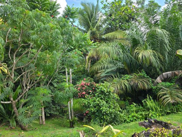 Villa 5 chambres + 2 F2 indépendants sur plus de 2400 m² de terrain