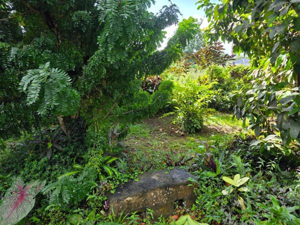 Villa 5 chambres + 2 F2 indépendants sur plus de 2400 m² de terrain