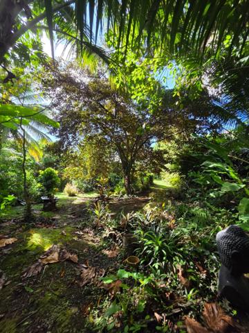 Villa 5 chambres + 2 F2 indépendants sur plus de 2400 m² de terrain