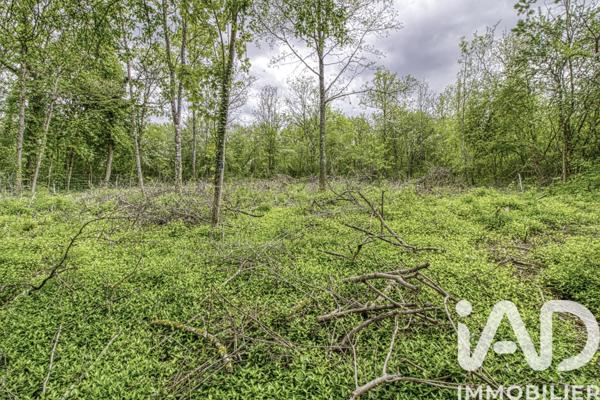 Terrain à vendre 2 024 m² Estouy