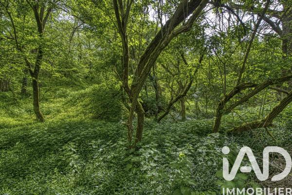 Terrain à vendre 2 024 m² Estouy