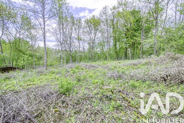 Terrain à vendre 2 024 m² Estouy