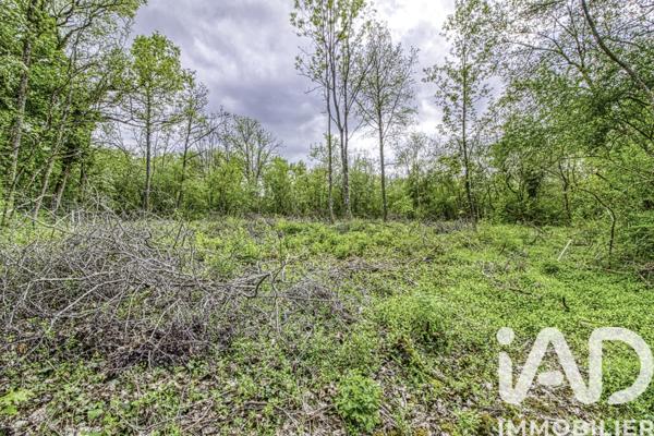 Terrain à vendre 2 024 m² Estouy