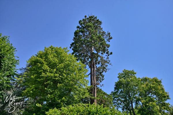Appartement de 69.52m² 3 pièces avec terrasse de 13.31m² SAINT GENIS LAVAL (69)