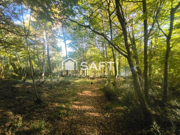 Maison gasconne de caractère au cœur du Bas-Armagnac (GERS)