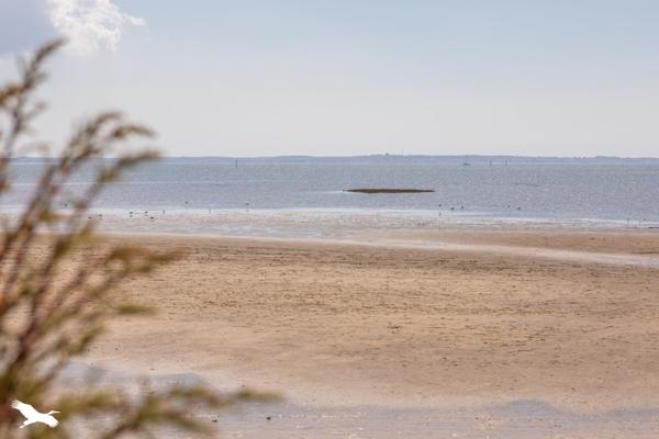 Maison à vendre |  Arès |  6 pièces | 150 m²