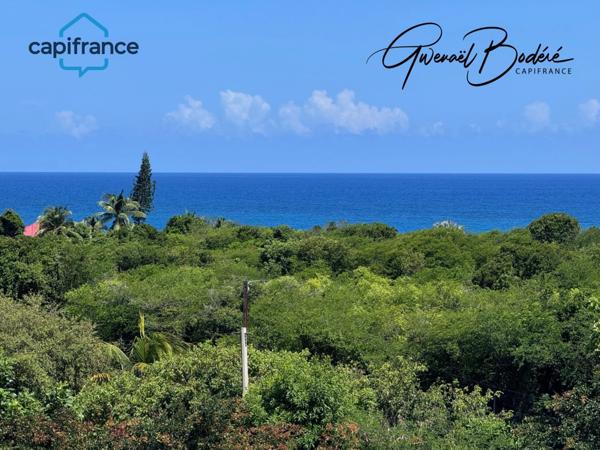 Superbe appartement RDC T3 A VENDRE SAINT FRANCOIS (971)