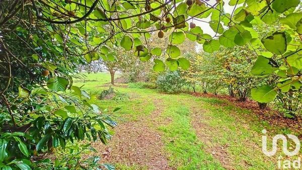 Maison à vendre 8 pièces 153 m² Allaire