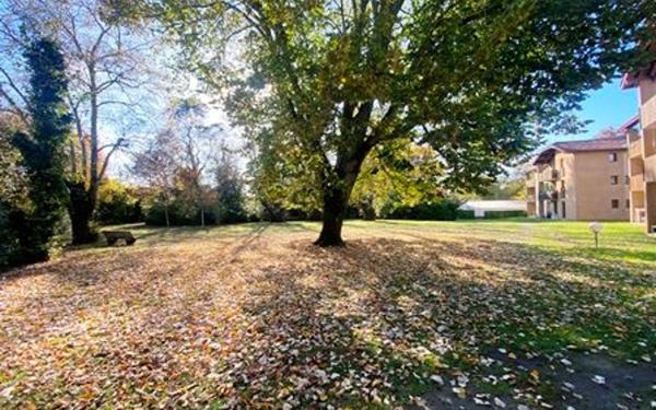 Appartement à louer    4 pièces •  Mont-de-Marsan