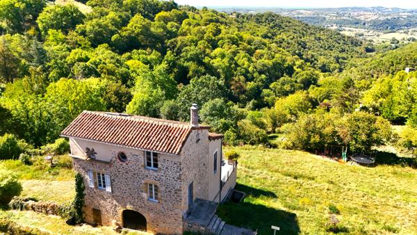Coup de coeur assuré! Maison de charme en pierre, vue panoramique et prestations d'exception Montbazens