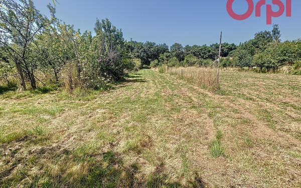 Terrain à vendre