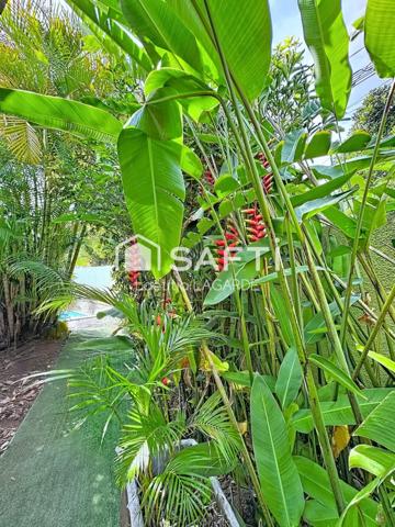 Maison F4/5 plain-pied avec piscine
