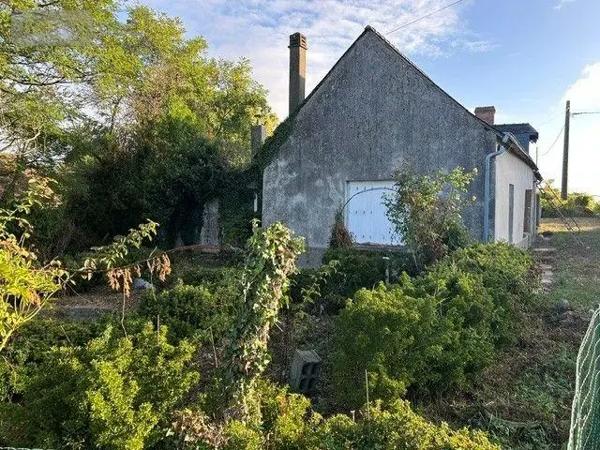 Achat - Maison | Maison Cheviré-le-Rouge 49150 5 pièces 110 m 2 14368 m 2