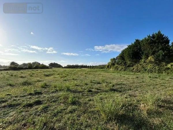 Achat - Maison | Maison Cheviré-le-Rouge 49150 5 pièces 110 m 2 14368 m 2