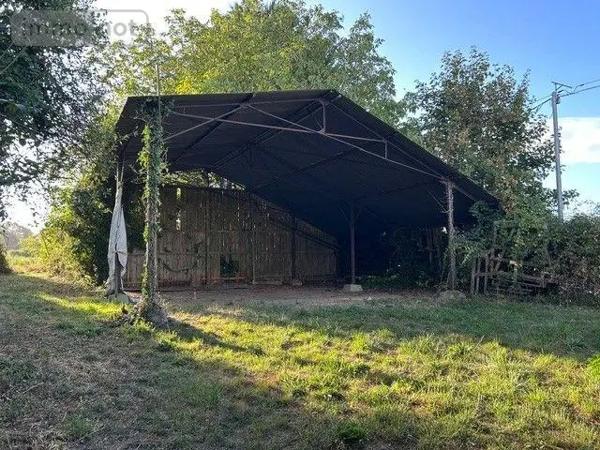 Achat - Maison | Maison Cheviré-le-Rouge 49150 5 pièces 110 m 2 14368 m 2