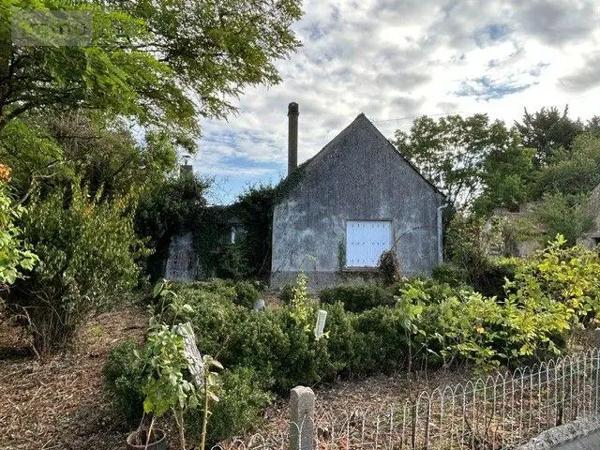 Achat - Maison | Maison Cheviré-le-Rouge 49150 5 pièces 110 m 2 14368 m 2