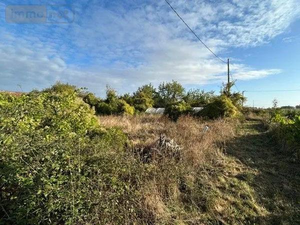 Achat - Maison | Maison Cheviré-le-Rouge 49150 5 pièces 110 m 2 14368 m 2