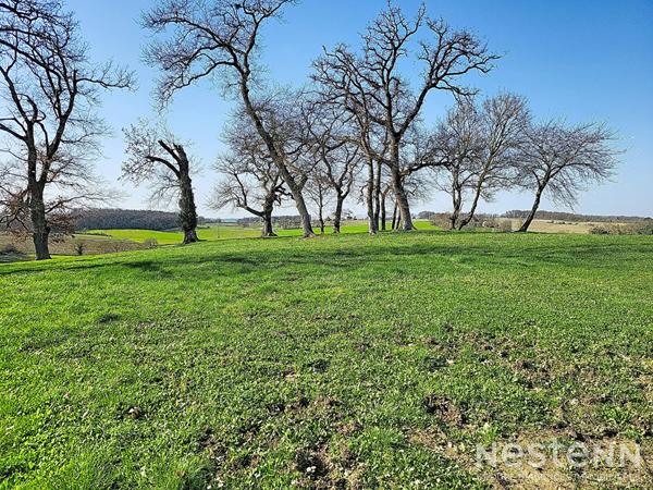 A Vendre Maison en pierre de plain-pied de 142 m² avec 305 m² de dépendances à la campagne