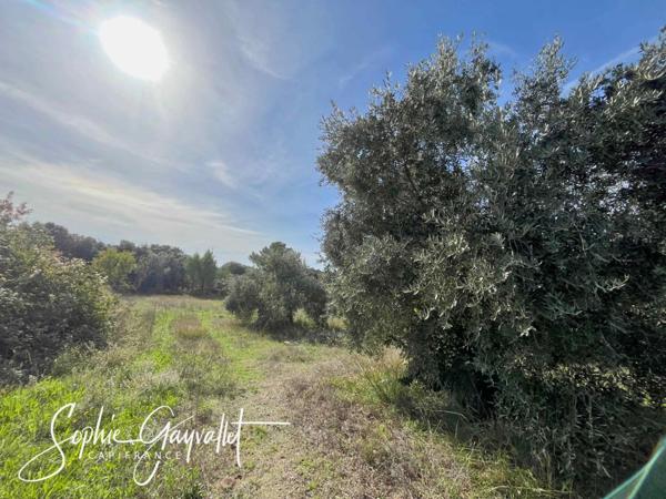 EGUILLES _ Terrain de 1500m2 _ Libre Constructeur