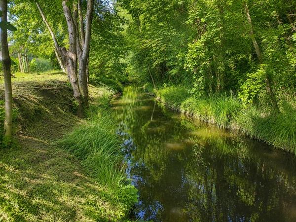 Maison familiale 5 chambres au calme, sans vis-à-vis, avec piscine et rivière en fond de jardin