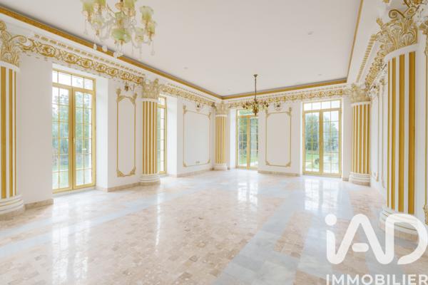 Maison à vendre 25 pièces 1 272 m² Saint-Pouange