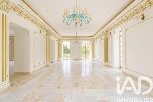 Maison à vendre 25 pièces 1 272 m² Saint-Pouange