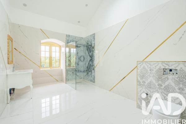 Maison à vendre 25 pièces 1 272 m² Saint-Pouange