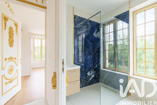 Maison à vendre 25 pièces 1 272 m² Saint-Pouange