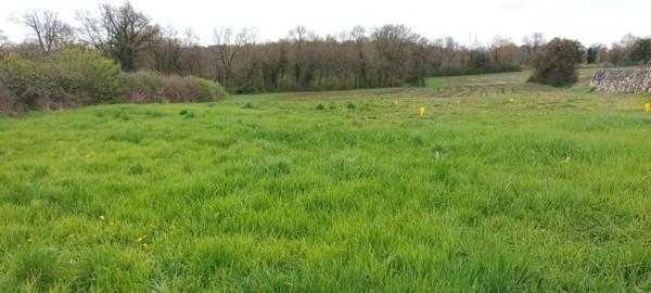 Vente / Terrain constructible