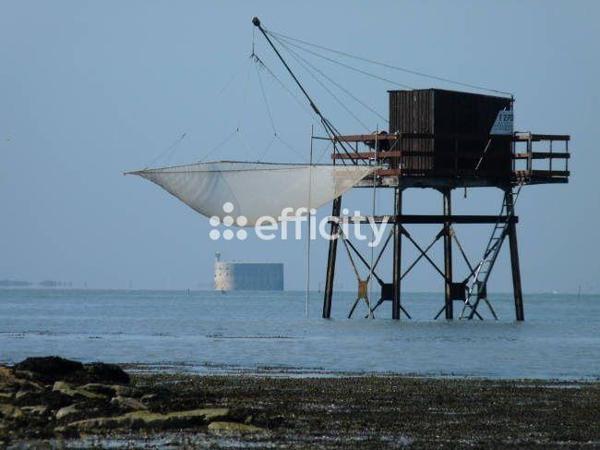 Terrain - 350 m² Exclusivité efficity