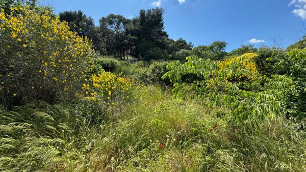 Les Pennes Mirabeau- Ensemble Local d'activité 100 m²+ 2 Appartements à rénover.
