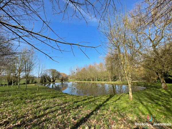 Terrain de loisir avec un étang à St Germain de Coulamer 53