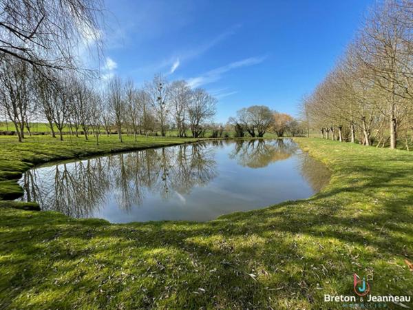 Terrain de loisir avec un étang à St Germain de Coulamer 53