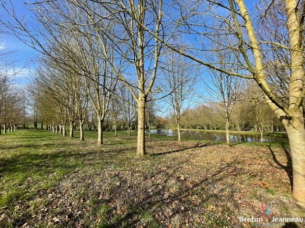 Terrain de loisir avec un étang à St Germain de Coulamer 53