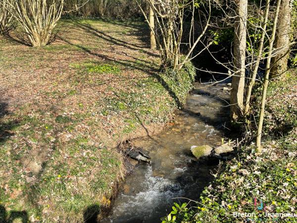 Terrain de loisir avec un étang à St Germain de Coulamer 53