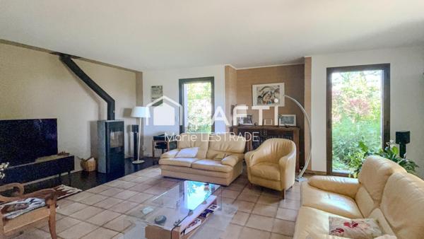 Vue Pyrénées et le centre du village à pied!