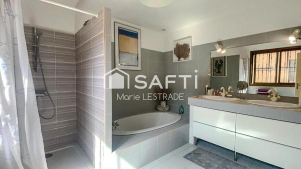 Vue Pyrénées et le centre du village à pied!