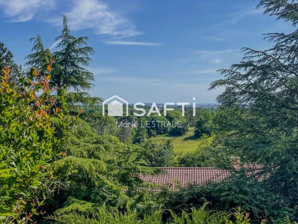 Vue Pyrénées et le centre du village à pied!