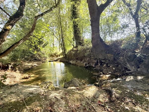 Agen (47000) AGEN Ravissant domaine avec manoir, maison de gardien, grange pour événements, rivière, lac